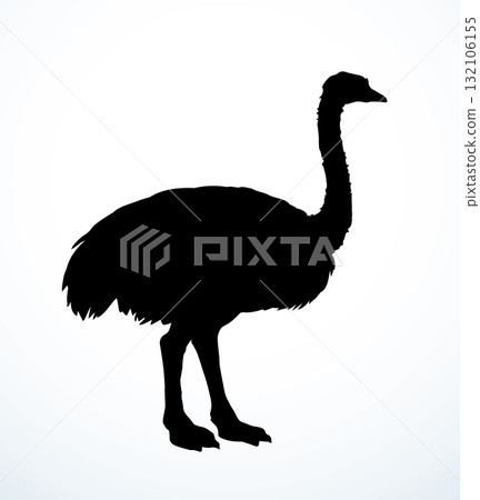 Vector drawing. Ostrich in the steppe 132106155