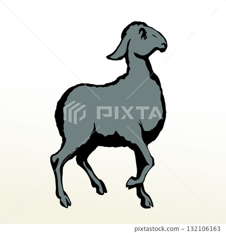 Vector drawing. Cute small sheep 132106163