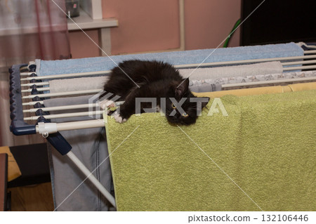 Black kitten went to sleep on the clothes dryer Black kitten went to sleep on the clothes dryer 132106446