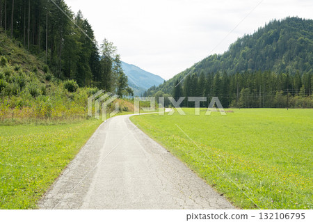 Path Through Meadow Leading into Coniferous Forest in Summer Light Path Through Meadow Leading into Coniferous Forest in Summer Light 132106795
