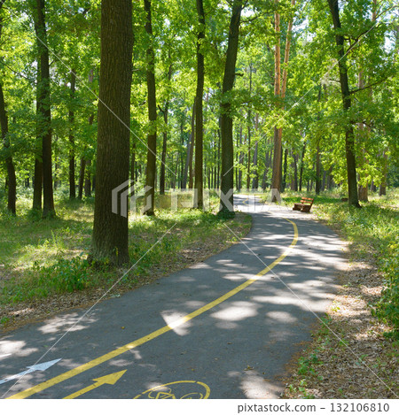 Scenic Forest Cycling Path with Sunlit Trees and Wooden Bench in Summer Park Landscape b. Peaceful Green Forest Pathway for Cycling and Walking with Rest Area and Sunlight 132106810