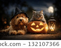 Festive Halloween pets with dog in costume, cat resting on carved pumpkin, and glowing lantern in autumn night setting 132107366