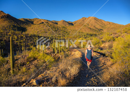 Hiker on King Canyon Trail in Saguaro National Park, Arizona Hiker on King Canyon Trail in Saguaro National Park, Arizona 132107458
