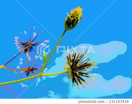 Seeds that stick to clothes (afr20251010125153) 132107816