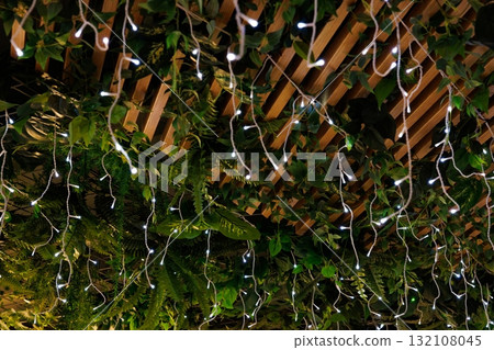 Twinkling fairy lights hang among lush greenery in a cozy outdoor setting at dusk Twinkling fairy lights hang among lush greenery in a cozy outdoor setting at dusk 132108045