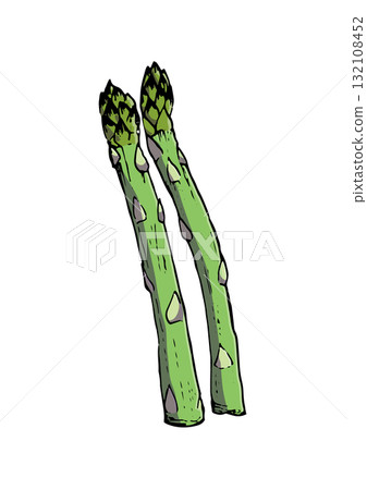 Asparagus illustration color 132108452