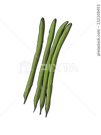 Green bean illustration color 132108453