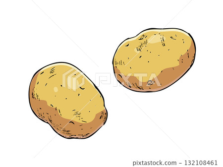 Potato illustration color Potato illustration color 132108461