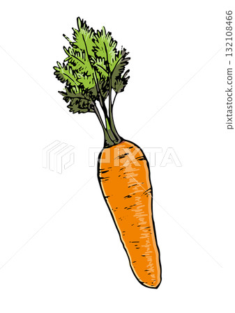 Carrot illustration color 132108466
