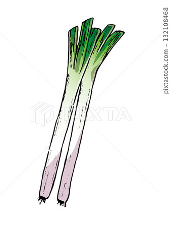 蔥插圖顏色 132108468