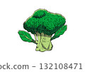 綠花椰菜插畫色彩 132108471