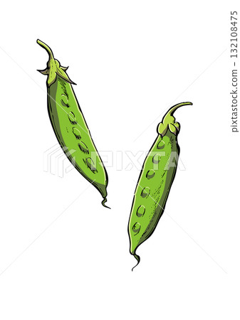 Kinu-saya illustration color 132108475