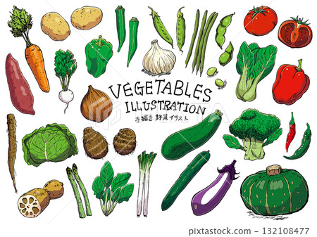 Hand-drawn vegetable line drawing set illustration color Hand-drawn vegetable line drawing set illustration color 132108477