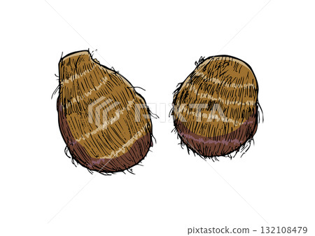 Taro illustration color 132108479