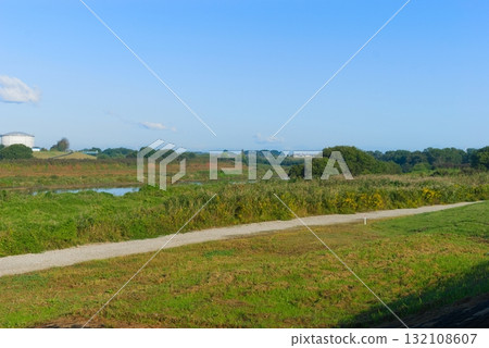 Edogawa Cycling Road Left Bank October 2025 132108607