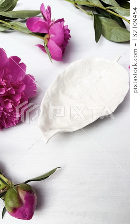 anemones flowers on white background anemones flowers on white background 132109454