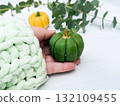 fresh pumpkin with green leaves 132109455