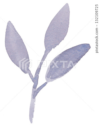 手繪葉子插圖(透明水彩) 手繪葉子插圖(透明水彩) 132109725