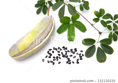 Leaves, fruits and seeds of Goyo Akebia (Five-leaf Akebia) Leaves, fruits and seeds of Goyo Akebia (Five-leaf Akebia) 132110220
