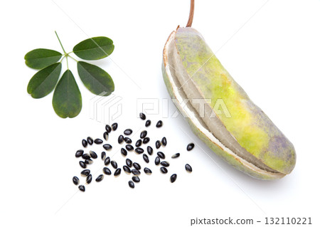 五葉木通（五葉木通）的葉子、果實和種子 132110221