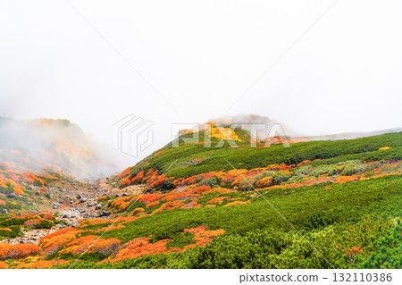 霧氣籠罩下的乘鞍迴聲線秋葉（2025年） 132110386