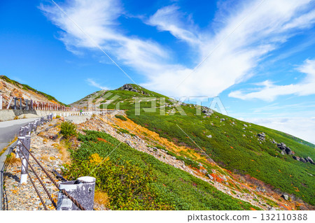 乘鞍迴聲線沿線的紅葉（2025年） 132110388