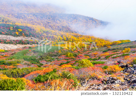 Autumn leaves along the Norikura Echo Line covered in fog (2025) 132110422