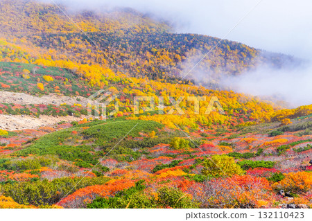 Autumn leaves along the Norikura Echo Line covered in fog (2025) 132110423