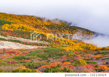 霧氣籠罩下的乘鞍迴聲線秋葉（2025年） 132110424