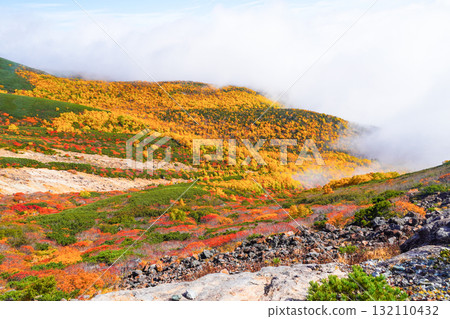 霧氣籠罩下的乘鞍迴聲線秋葉（2025年） 132110432