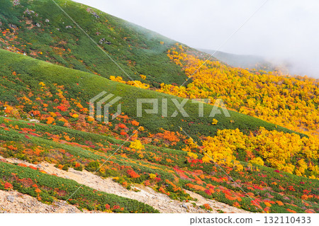 霧氣籠罩下的乘鞍迴聲線秋葉（2025年） 132110433