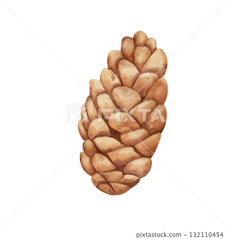 Pine cone. Watercolor botanical illustration of dry pine cone. Hand-drawn, isolated on white background. Part of fir or pine tree Pine cone. Watercolor botanical illustration of dry pine cone. Hand-drawn, isolated on white background. Part of fir or pine tree 132110454