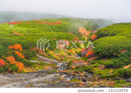 霧氣籠罩下的乘鞍迴聲線秋葉（2025年） 132110470
