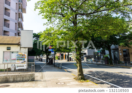 櫻花街,一條通往聖跡櫻丘站的林蔭大道。清晨散步。東京都多摩市關戶。 櫻花街,一條通往聖跡櫻丘站的林蔭大道。清晨散步。東京都多摩市關戶。 132110503