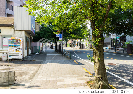 清晨，沿著從聖跡櫻丘站延伸的櫻花大道散步。清晨，東京多摩市關戶 132110504