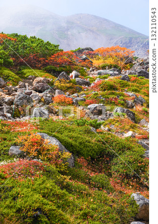 乘鞍迴聲線沿線的紅葉(2025年) 乘鞍迴聲線沿線的紅葉(2025年) 132110543