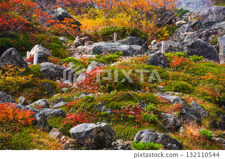霧氣籠罩下的乘鞍迴聲線秋葉(2025年) 霧氣籠罩下的乘鞍迴聲線秋葉(2025年) 132110544