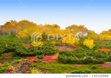 乘鞍迴聲線沿線的紅葉（2025年） 132110569