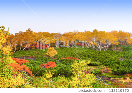 乘鞍迴聲線沿線的紅葉（2025年） 132110570