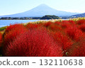 秋季的櫛葉與富士山的景色（大石公園） 132110638