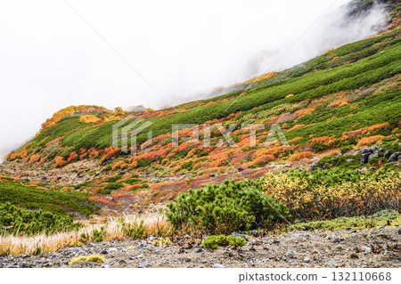 霧氣籠罩下的乘鞍迴聲線秋葉（2025年） 132110668