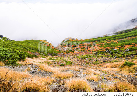 霧氣籠罩下的乘鞍迴聲線秋葉（2025年） 132110672