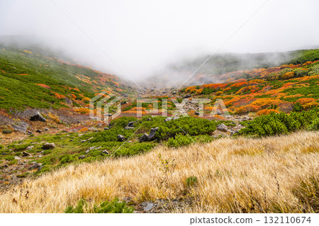 霧氣籠罩下的乘鞍迴聲線秋葉（2025年） 132110674
