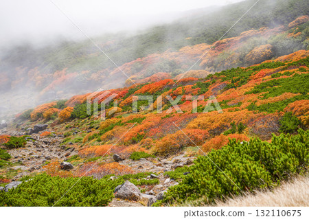 霧氣籠罩下的乘鞍迴聲線秋葉（2025年） 132110675