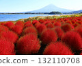 鮮紅的秋葉和富士山（富士大石花壇） 132110708