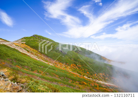 Autumn leaves along the Norikura Echo Line (2025) 132110711