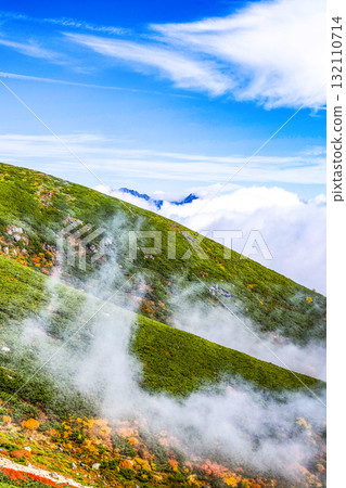 Autumn leaves along the Norikura Echo Line covered in fog (2025) 132110714