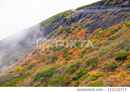 Autumn leaves along the Norikura Echo Line covered in fog (2025) 132110717