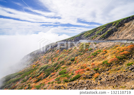 Autumn leaves along the Norikura Echo Line covered in fog (2025) Autumn leaves along the Norikura Echo Line covered in fog (2025) 132110719