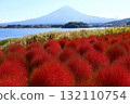富士大石花壇的藜蘆和富士山的秋景 132110754